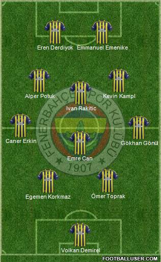 Fenerbahçe SK Formation 2014
