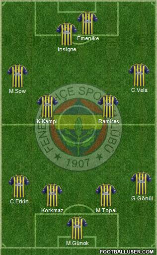 Fenerbahçe SK Formation 2014