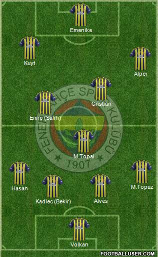 Fenerbahçe SK Formation 2014