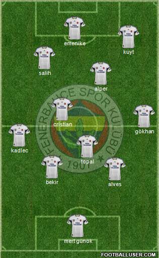 Fenerbahçe SK Formation 2014
