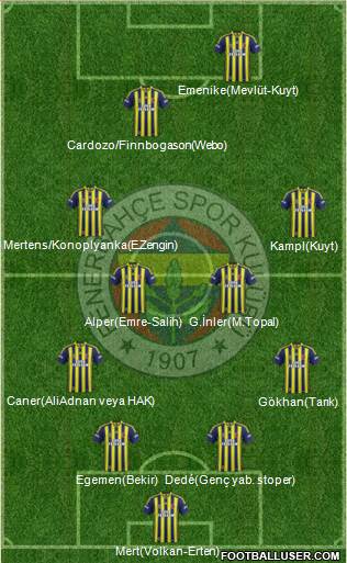 Fenerbahçe SK Formation 2014