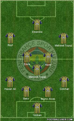 Fenerbahçe SK Formation 2014