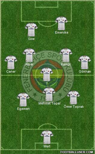 Fenerbahçe SK Formation 2014