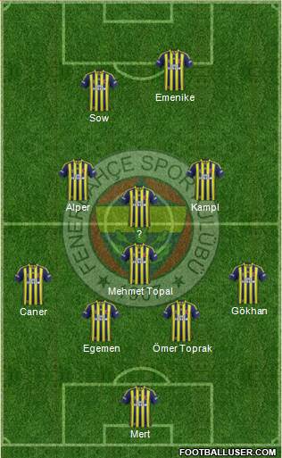 Fenerbahçe SK Formation 2014