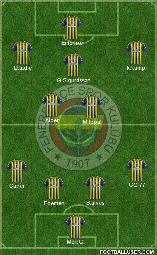 Fenerbahçe SK Formation 2014