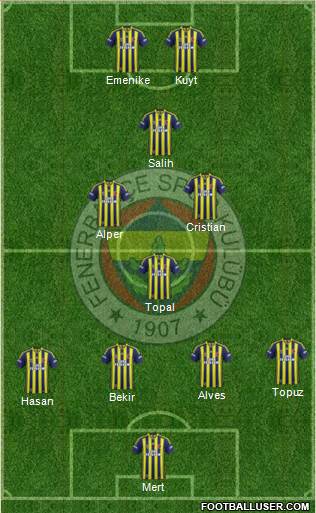 Fenerbahçe SK Formation 2014