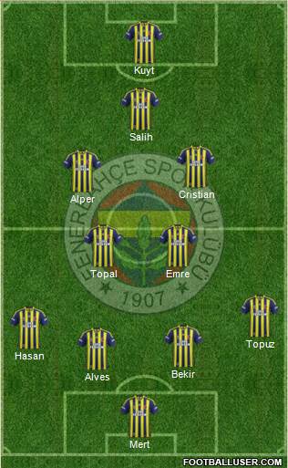 Fenerbahçe SK Formation 2014