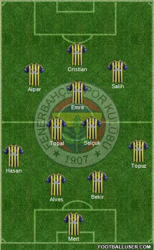 Fenerbahçe SK Formation 2014