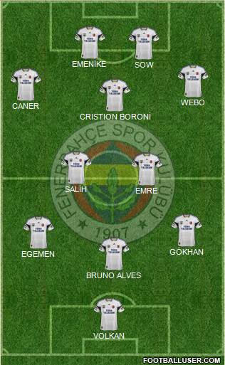 Fenerbahçe SK Formation 2014