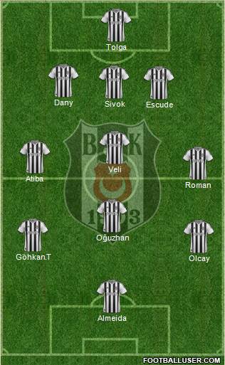 Besiktas JK Formation 2014