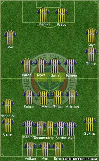 Fenerbahçe SK Formation 2014