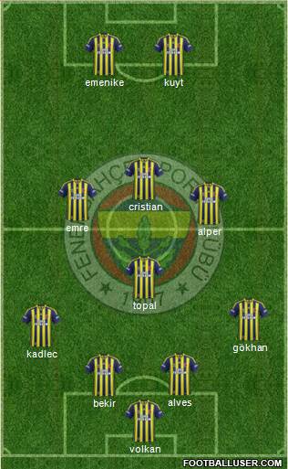 Fenerbahçe SK Formation 2014