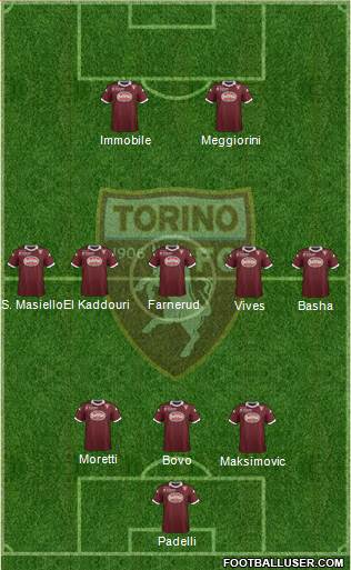 Torino Formation 2014
