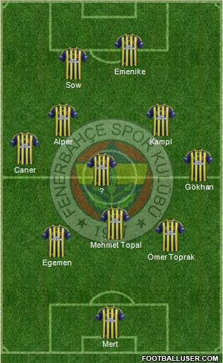 Fenerbahçe SK Formation 2014