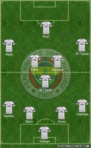 Fenerbahçe SK Formation 2014