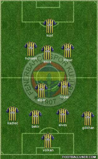 Fenerbahçe SK Formation 2014