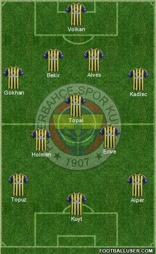 Fenerbahçe SK Formation 2014