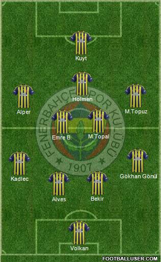 Fenerbahçe SK Formation 2014