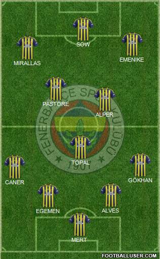Fenerbahçe SK Formation 2014