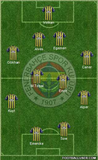 Fenerbahçe SK Formation 2014