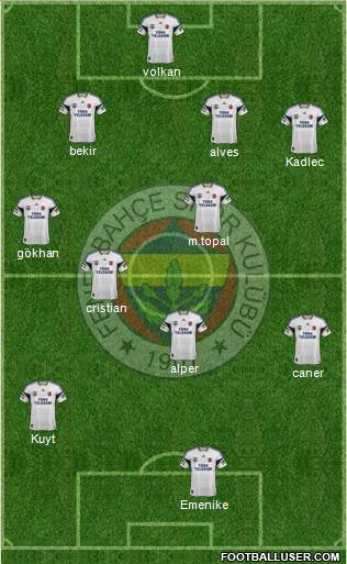 Fenerbahçe SK Formation 2014