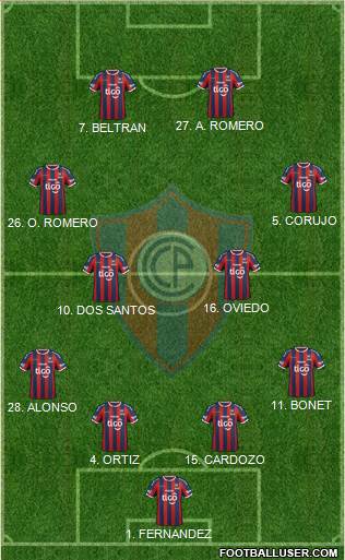 C Cerro Porteño Formation 2014