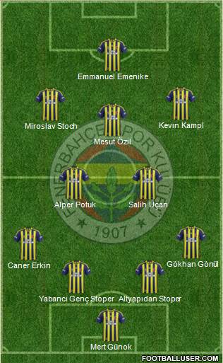 Fenerbahçe SK Formation 2014