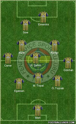 Fenerbahçe SK Formation 2014