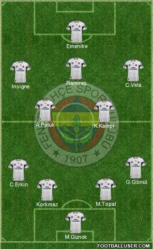 Fenerbahçe SK Formation 2014