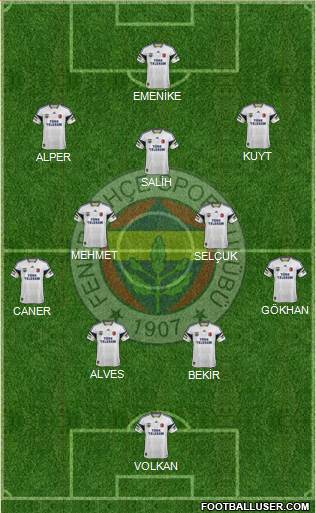 Fenerbahçe SK Formation 2014