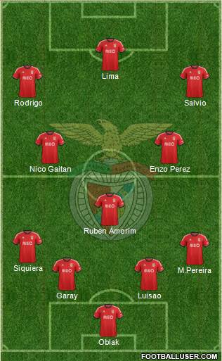 Sport Lisboa e Benfica - SAD Formation 2014