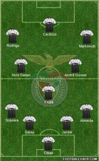 Sport Lisboa e Benfica - SAD Formation 2014