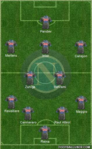 Napoli Formation 2014