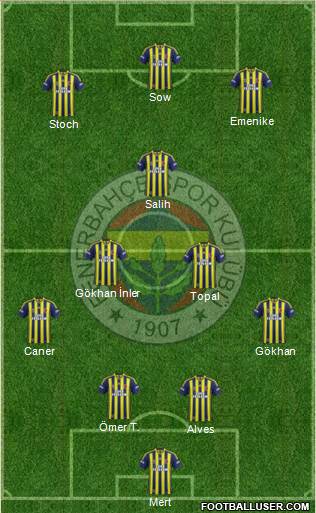 Fenerbahçe SK Formation 2014