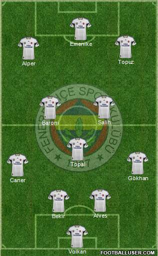 Fenerbahçe SK Formation 2014