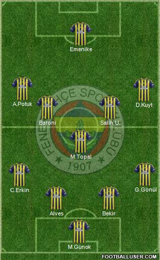 Fenerbahçe SK Formation 2014