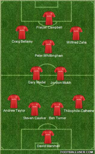 Cardiff City Formation 2014