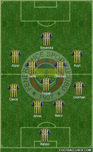 Fenerbahçe SK Formation 2014