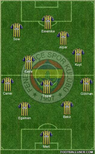 Fenerbahçe SK Formation 2014