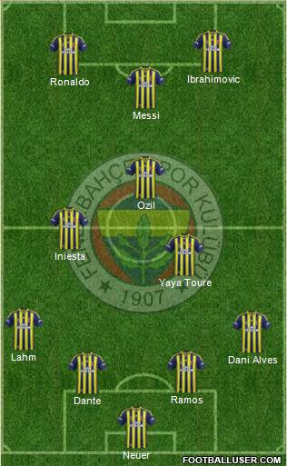 Fenerbahçe SK Formation 2014