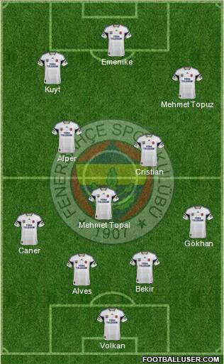 Fenerbahçe SK Formation 2014