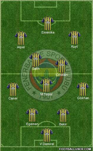 Fenerbahçe SK Formation 2014