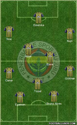 Fenerbahçe SK Formation 2014