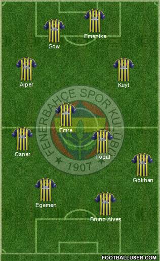 Fenerbahçe SK Formation 2014