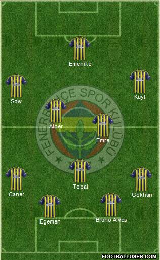 Fenerbahçe SK Formation 2014