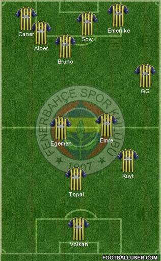 Fenerbahçe SK Formation 2014