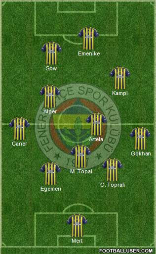 Fenerbahçe SK Formation 2014