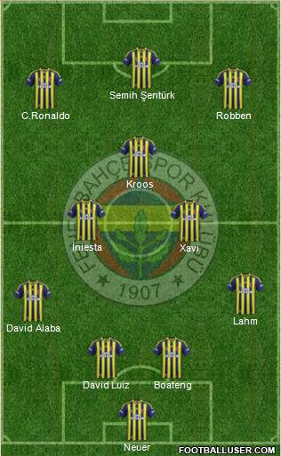 Fenerbahçe SK Formation 2014