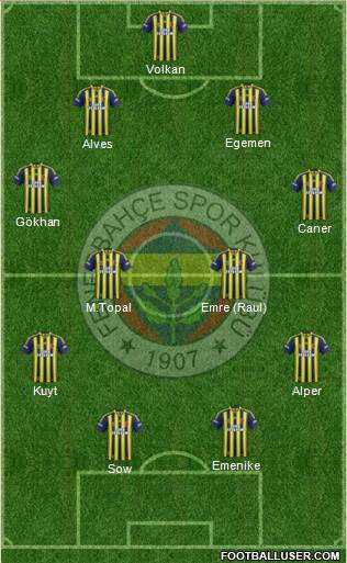 Fenerbahçe SK Formation 2014