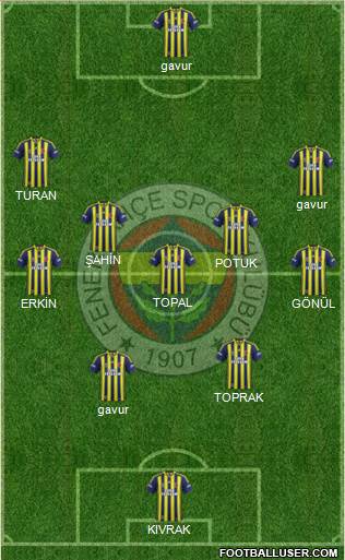 Fenerbahçe SK Formation 2014